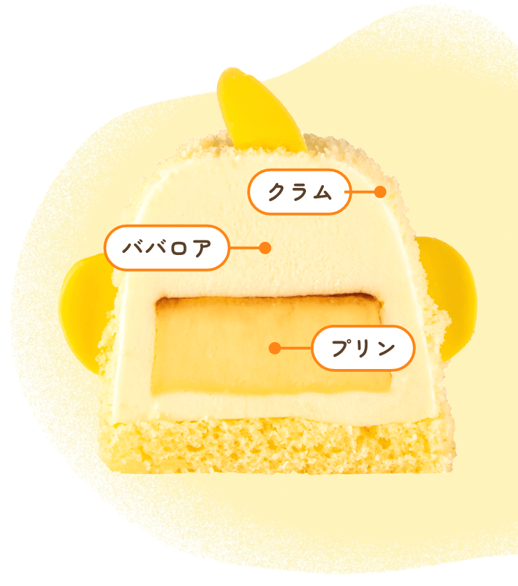 ぴよりんの断面図