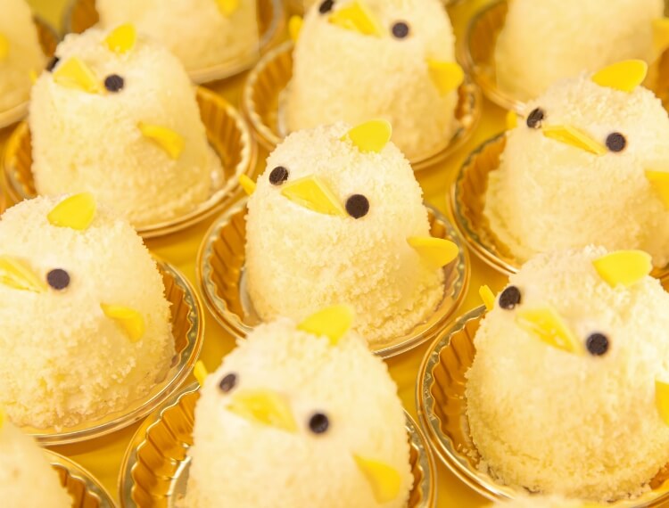 ぴよりん公式サイト｜名古屋の新名物ひよこプリン